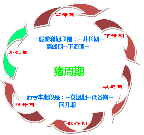如何破解價格怪圈 化解“豬周期”風(fēng)險？